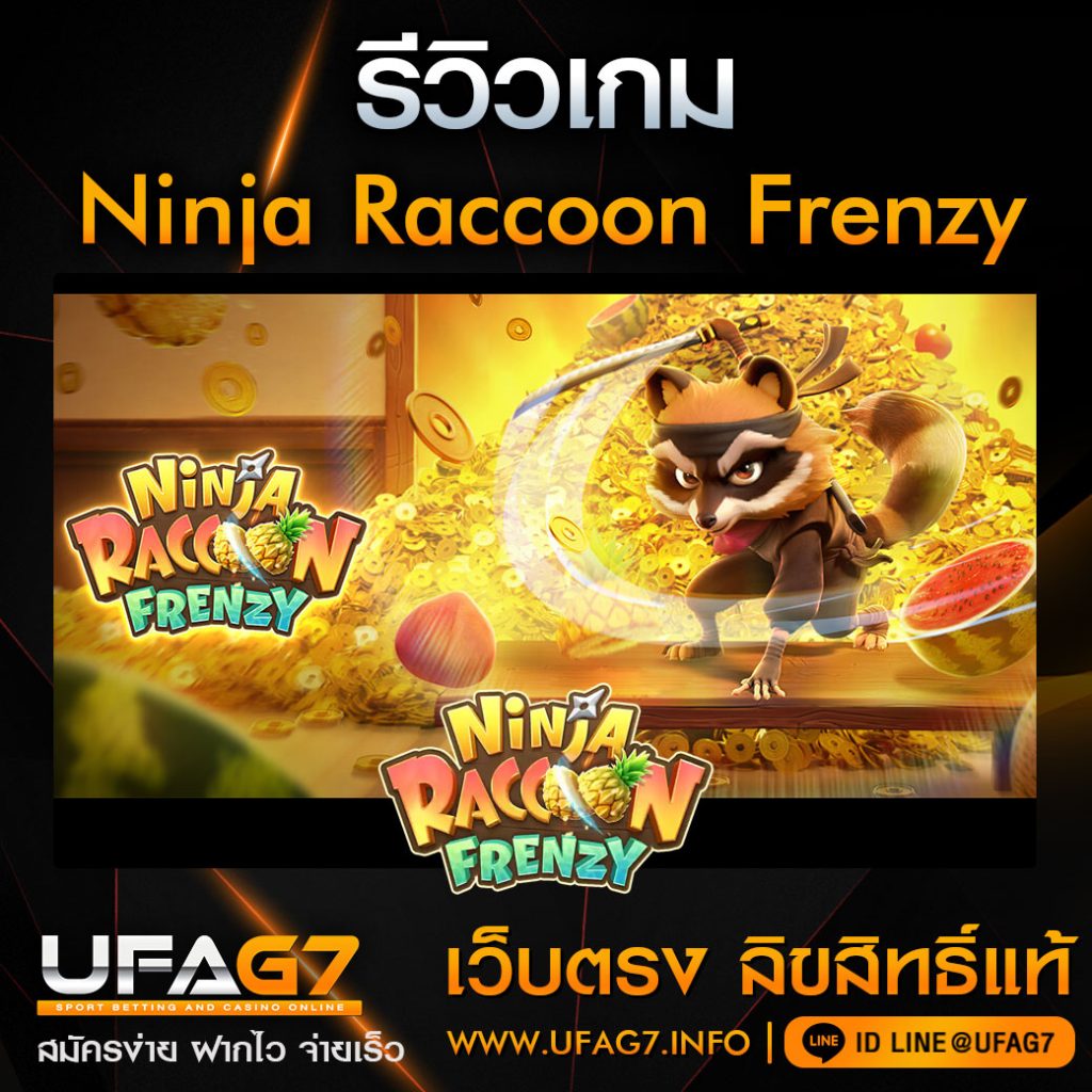 รีวิว-Ninja-Raccoon-Frenzy